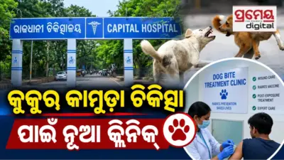 Dog Bite Treatment: କୁକୁର କାମୁଡ଼ା ଆହତଙ୍କ ପାଇଁ ବଡ଼ ଆଶ୍ୱସ୍ତି, ଏଣିକି ଗୋଟିଏ ଛାତ ତଳେ ମିଳିବ ସବୁ ସୁବିଧା