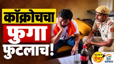 कॉक्रोचचा फुगा फुटलाच!