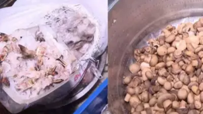 রাজ্যজুড়ে খাদ্য দপ্তরের অভিযান, উদ্ধার পচা মাংস-পনির, মেয়াদোত্তীর্ণ খাবার