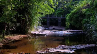 செண்பகாதேவி அருவி. குற்றாலத்தின் வனப்பகுதியில் ஒரு சிலிர்ப்பான சாகசப் பயணம்