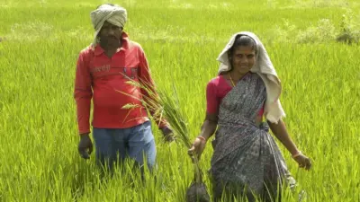 నిజమైన రైతులకు మాత్రమే సబ్సిడీ ఎరువులు