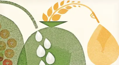 Ethanol: વાહન માલિકો માટે મોટા સમાચાર: પેટ્રોલમાં 25% એથેનૉલ મિક્સ કરવાનો નિર્ણય પાછો ઠેલાવાની શક્યતા