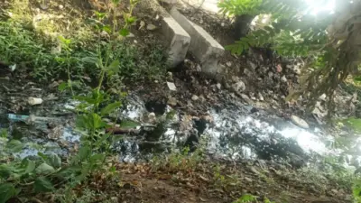 కెనాల్లోకి బల్క్ మిల్క్ వ్యర్థాల విడుదల