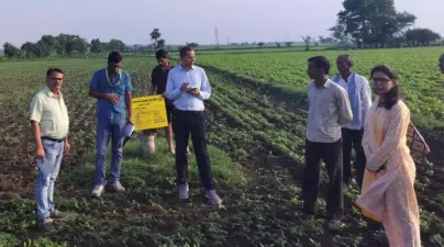 दलहन आत्मनिर्भर मिशन में उड़द का निरीक्षण