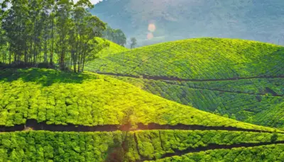 10 Amazing Places To Visit In Coonoor