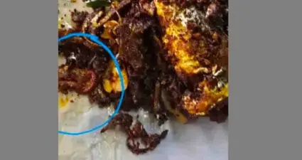 മീന് വറുത്തതില് ചത്ത അട്ട; തിരുവനന്തപുരം കന്റോണ്മെന്റ് പോലീസ് കാന്റീന് കോര്പ്പറേഷന് പൂട്ടിച്ചു
