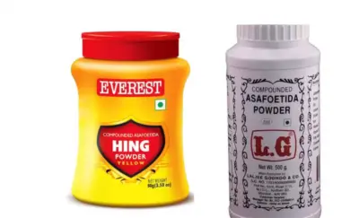 FSSAI bans Everest Food Products, Laljee Godhoo from selling hing powder