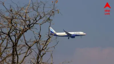 Emergency Landing : উড়ানের কিছুক্ষণের মধ্যেই 'ইঞ্জিন ফেলের-আতঙ্ক', ২২৯ জন যাত্রীকে নিয়ে ভয়ঙ্কর অভিজ্ঞতা ইন্ডিগোর বিমানের