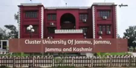 Cluster University: A Conceptual Trial