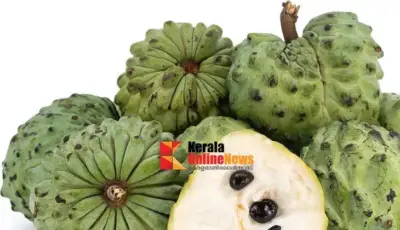 സീതപ്പഴത്തിന്റെ ആരോഗ്യഗുണങ്ങള് അറിയാമോ?