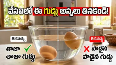 ఎండాకాలంలో గుడ్లు ఫ్రిజ్లో పెడుతున్నారా? అయితే ఈ నిజాలు మీరు తెలుసుకోవాల్సిందే.