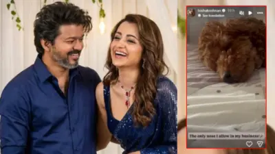 Trisha Krishnan: కుక్క ఫోటోతో కౌంటర్.. ట్రోలర్స్ కి గట్టి సమాధానం ఇచ్చిన త్రిష