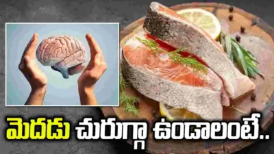 షార్ప్ బ్రెయిన్ కావాలా?.. రోజువారీ ఆహారంలో ఇవి ఉండేలా చూసుకోండి..