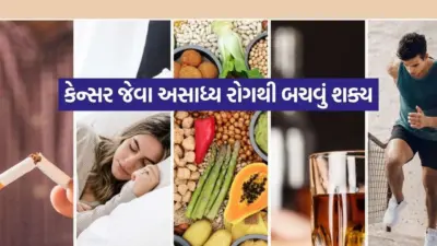 પ્લાસ્ટિકના વાસણો અને વધુ પડતા કેમિકલ્સનો વપરાશ કેન્સરનું કારણ?
