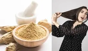 Hair Care: बालों के लिए वरदान है मुल्तानी मिट्टी, डैंड्रफ से लेकर हेयर फॉल तक करेगी कंट्रोल