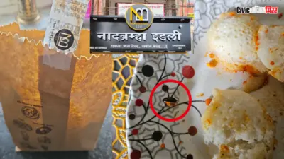 Naadbrahma Idli Cockroach : पुण्यातील नादब्रह्म इडलीमध्ये झुरळ