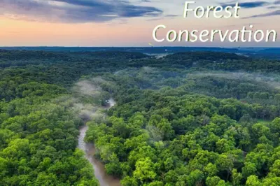 Shared Forest Conservation