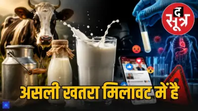 क्या सेहत के लिए जहर बन रहा है दूध? सोशल मीडिया के दावों का सच