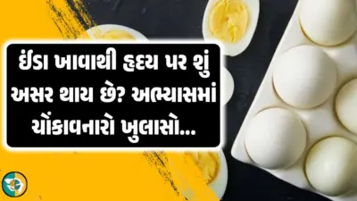 ઈંડા ખાવાથી હૃદય પર શું અસર થાય? અભ્યાસમાં થયો ચોંકાવનારો ખુલાસો.!