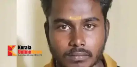 കൊല്ലത്തെ വയോധികന്റെ കൊലപാതകം; പ്രതി പിടിയില്