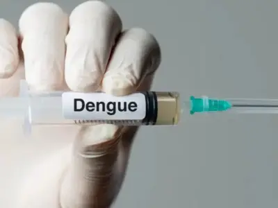 India Approves Its First Dengue Vaccine