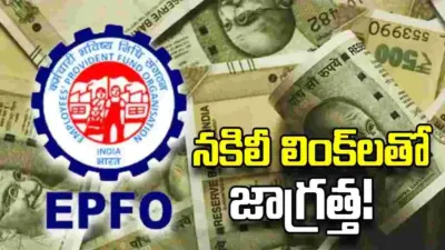 నకిలీ లింక్లతో జాగ్రత్త.. చందాదారులకు ఈపీఎఫ్ఓ సూచన