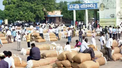 సెప్టెంబరు నుంచే పత్తి కొనుగోళ్లు