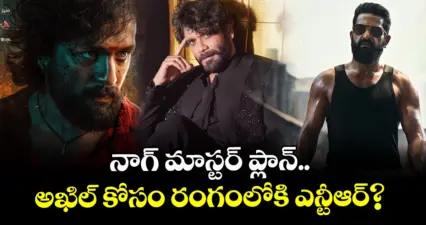 NTR for LENIN: నాగ్ మాస్టర్ ప్లాన్.. అఖిల్ కోసం రంగంలోకి ఎన్టీఆర్?