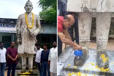 জঙ্গল থেকে উদ্ধার নেহরুর মূর্তি! বিজেপির মাল্যদানের পর দুধ দিয়ে শুদ্ধিকরণ কংগ্রেসের! - বর্তমান বাংলা