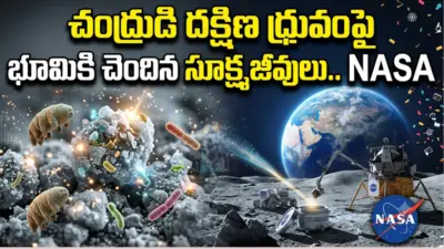 చంద్రుడి దక్షిణ ధ్రువంపై భూమికి చెందిన సూక్ష్మజీవులు.. నాసా శాస్త్రవేత్తల కీలక ప్రకటన..!