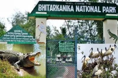 ବଡ଼ ଖୁସି ଖବର, ଆଜିଠୁ ଖୋଲିଲା ଭିତରକନିକା ଜାତୀୟ ଉଦ୍ୟାନ