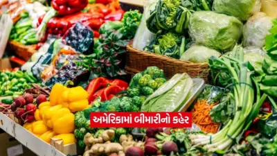 અમેરિકામાં આ વિચિત્ર બીમારીએ મચાવી તબાહી, ૨ના મોત અને હજારો લોકો ઝપેટમાં
