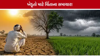 આ વર્ષે દેશમાં ચોમાસું નબળું રહેવાની આશંકા, IMDની આગાહીથી જગતનો તાત ચિંતિત