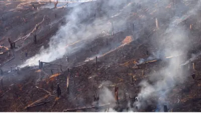 Nagaland Uni GIS study maps environmental degradation in Kohima