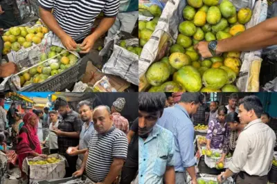Food Safety Team Seizes Chemically Ripened Mangoes in Guwahati's Fancy Bazaar; Stock Destroyed