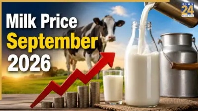 Milk gets costlier: Milk prices rise by Rs 9 per litre from September 1; Check Latest Rates in Delhi, Noida, Tamil Nadu, Kolkata, Bengaluru, other cities