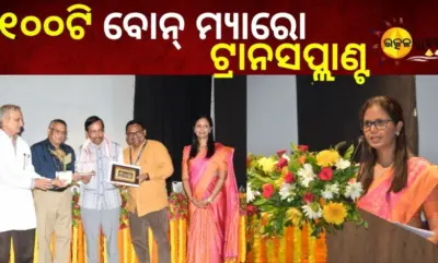 ୧୦୦ଟି ବୋନ୍ ମ୍ୟାରୋ ଟ୍ରାନସପ୍ଲାଣ୍ଟ