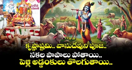 జన్మాష్టమిః కృష్ణాష్టమి ..వాసుదేవుని పూజ .. సకల పాపాలు పోతాయి.. పెళ్లి అడ్డంకులు తొలగుతాయి..