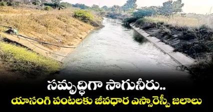 సమృద్ధిగా సాగునీరు..యాసంగి పంటలకు జీవధార ఎస్సారెస్పీ జలాలు