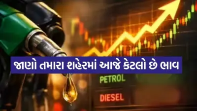 પેટ્રોલ-ડીઝલ વાહનચાલકો માટે રાહતના સમાચાર