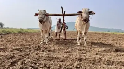 యాసంగి రైతులకు తెలంగాణ ప్రభుత్వం సాయం