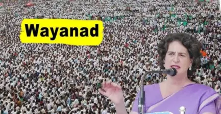 ବହି ଜଳିବ: ବାୟନାଡ଼ରୁ ପ୍ରିୟଙ୍କା ଜିତିବେ?