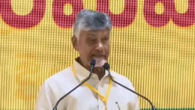 జూన్ 1న కాకినాడ జిల్లాకు చంద్రబాబు