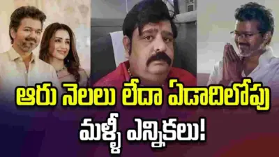 త్రిష లేకుంటే విజయ్ జాతకం మరోలా ఉండేది- వేణు స్వామి