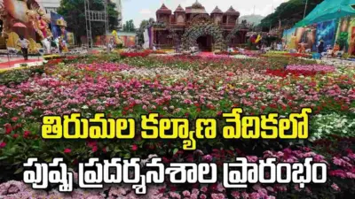 తిరుమల కల్యాణ వేదికలో పుష్ప ప్రదర్శనశాల ప్రారంభం