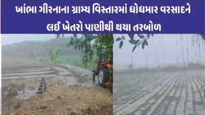 Khambha ગીરનાના ગ્રામ્ય વિસ્તારમાં ગાજવીજ સાથે વરસાદ