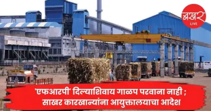Sugar Factory Licenses : 'एफआरपी' दिल्याशिवाय गाळप परवाना नाही ; साखर कारखान्यांना आयुक्तालयाचा आदेश
