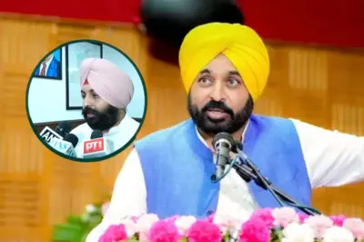 CM Bhagwant Mann के दिशा निर्देश पर 'मिशन क्लीन पंजाब' मुहीम पर फोकस, देखें कैसे शहरों से लेकर कस्बों तक की होगी हाई क्लास सफाई