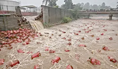مہاراشٹرا کی ندی میں 3000 گیس سلنڈربہہ گئے