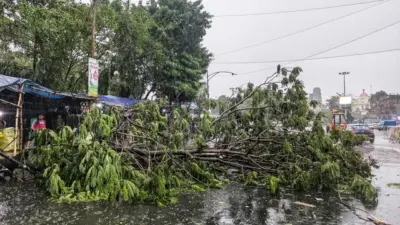 Weather Update: बंगाल ते उत्तर प्रदेशपर्यंत वादळ, गारपीट आणि मुसळधार पावसाने हाहाकार उत्तर प्रदेशात 20 तर बिहारमध्ये 14 जणांचा मृत्यू